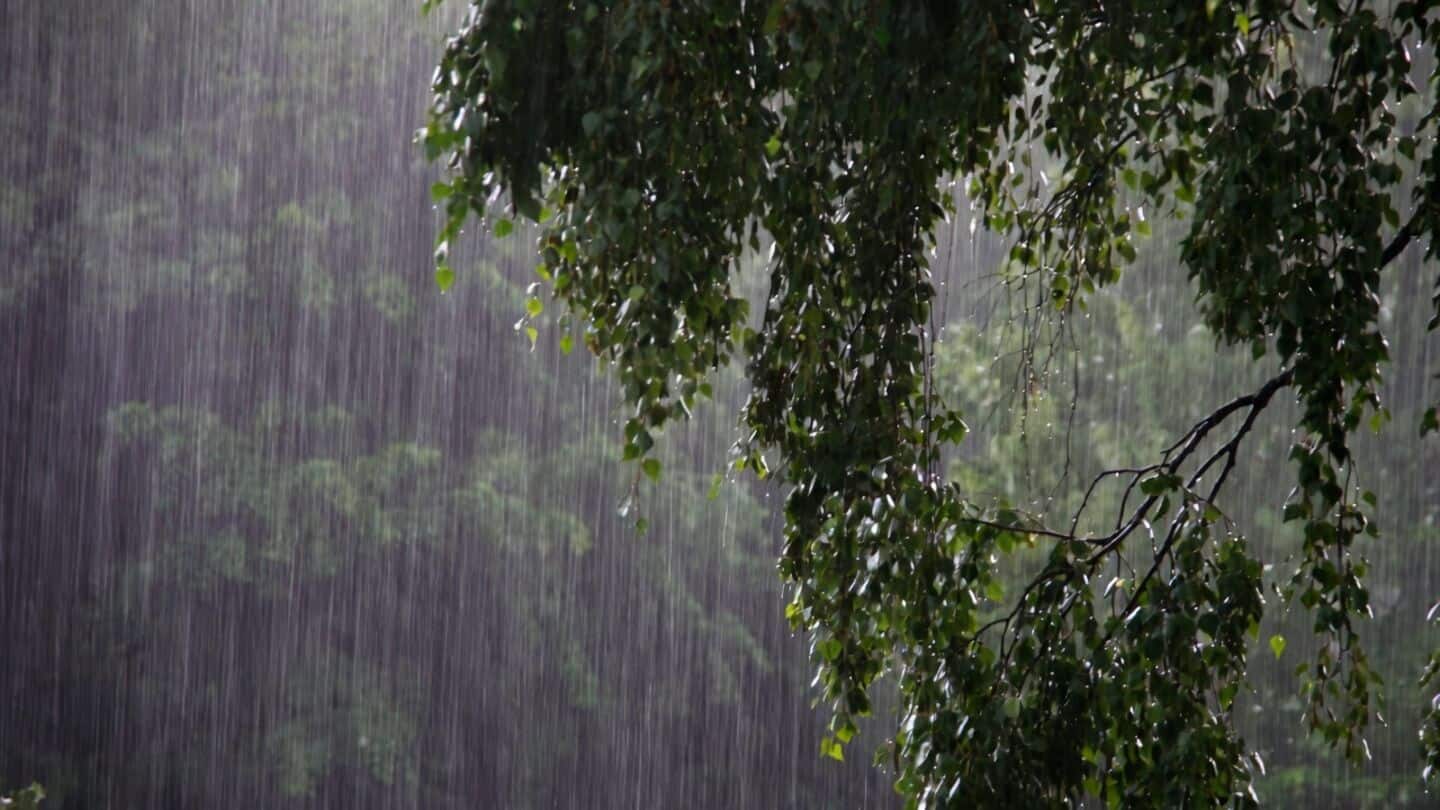IMD issues orange alert for heavy rain in Odisha, Chhattisgarh