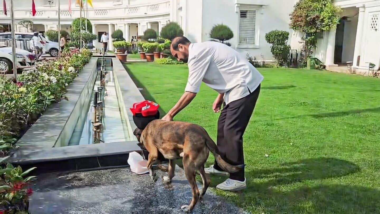 Bomb threat email prompts major security operation across Delhi sites