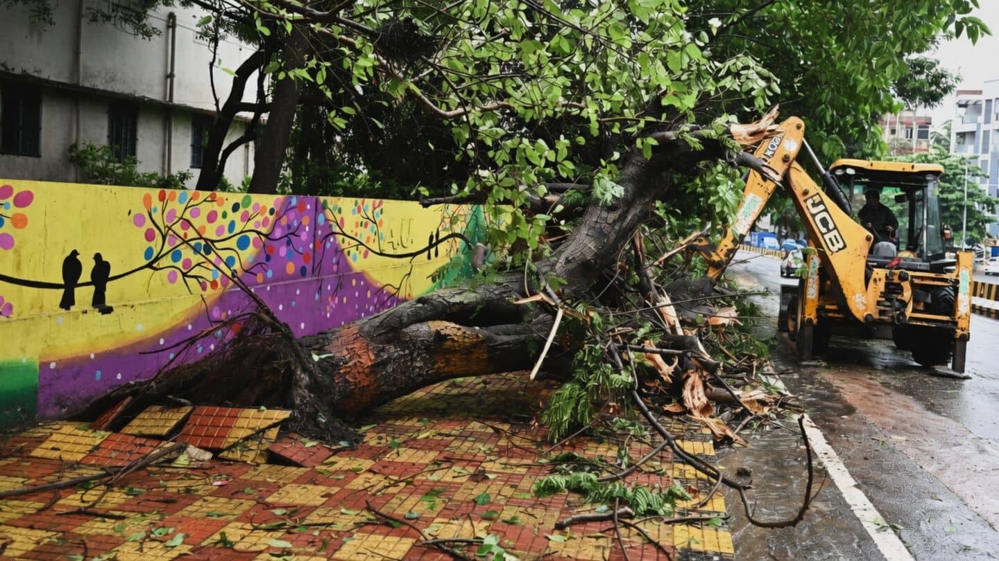 Heavy rain and strong winds hit Visakhapatnam, 12km roads affected