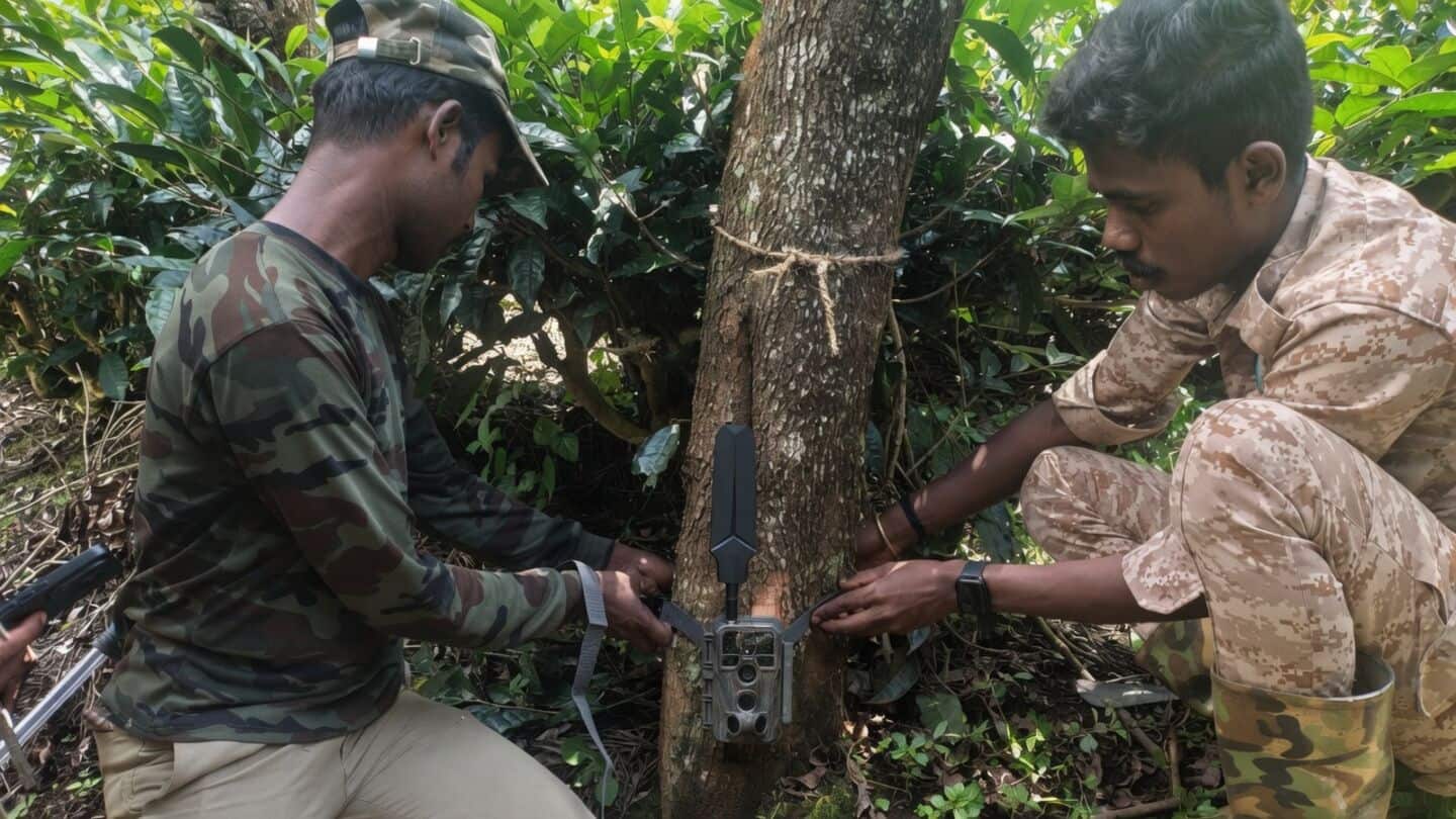Gudalur tiger eludes capture 12 days after killing 2 people