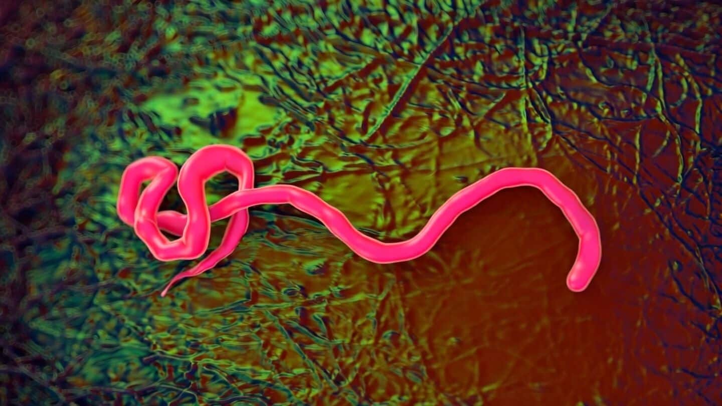 Scientists race to develop 3 Ebola vaccines amid DRC outbreak