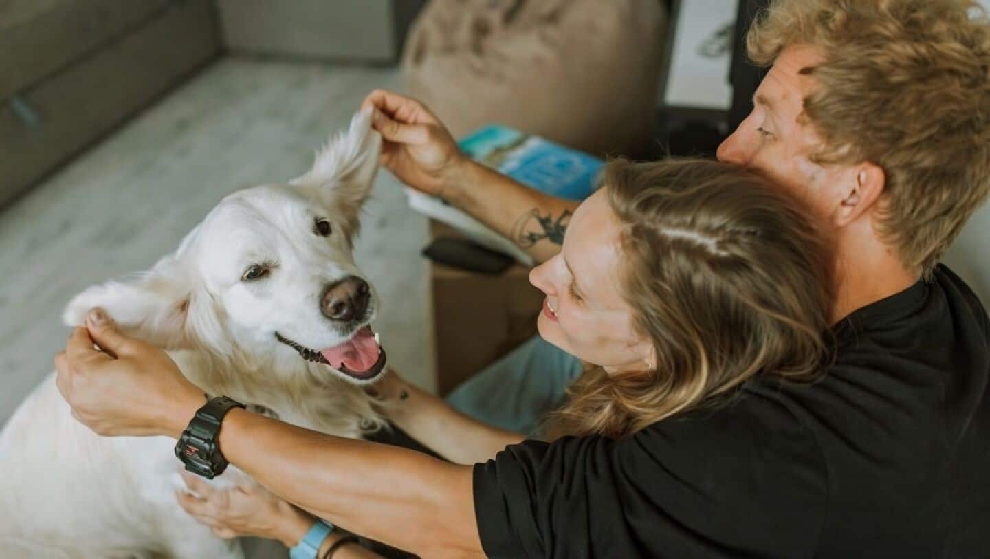 Loyal's LOY-002 advances after clearing 2 FDA steps in trials