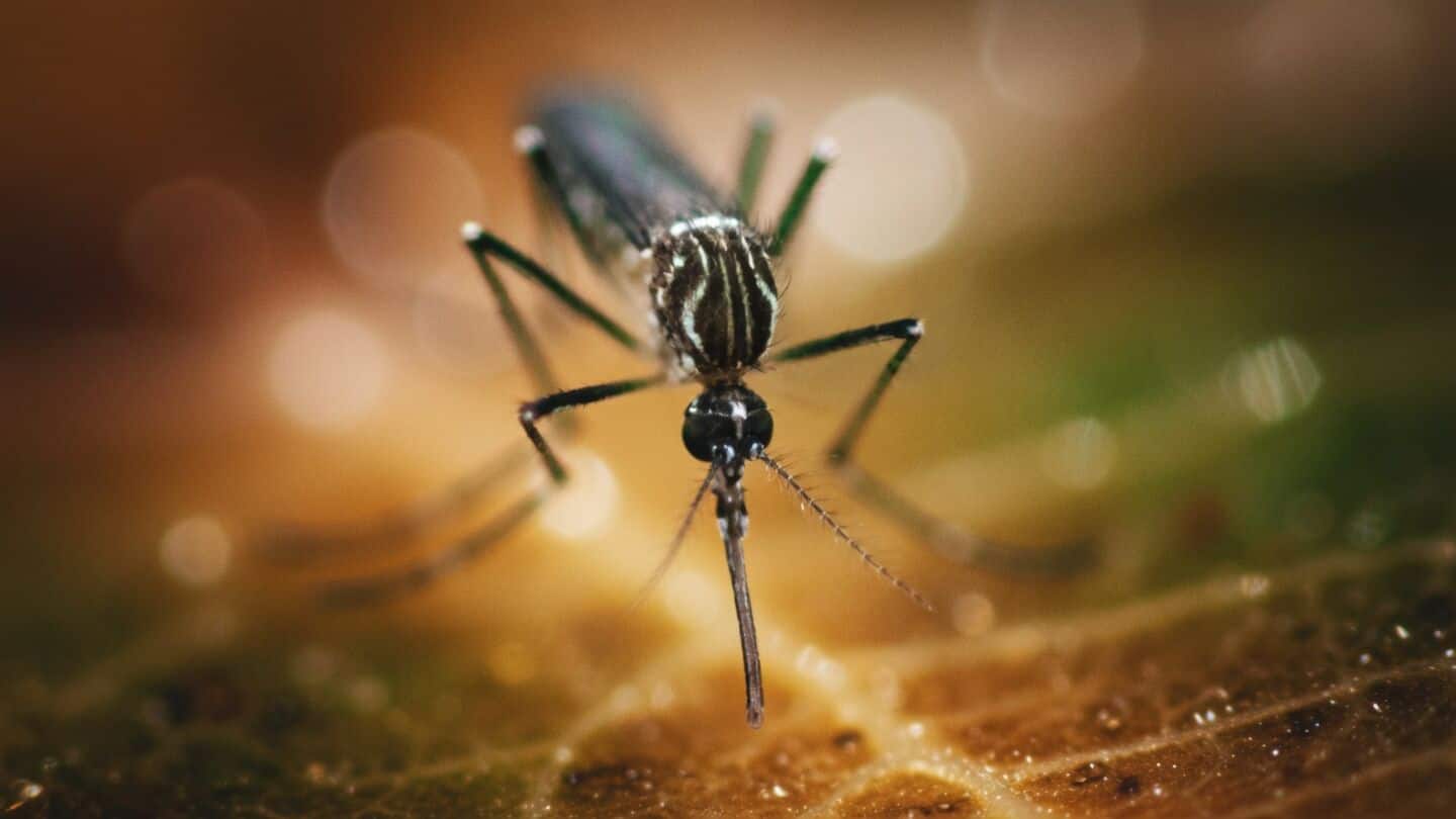 Kerala reports dengue surge with 159 confirmed and 295 probable