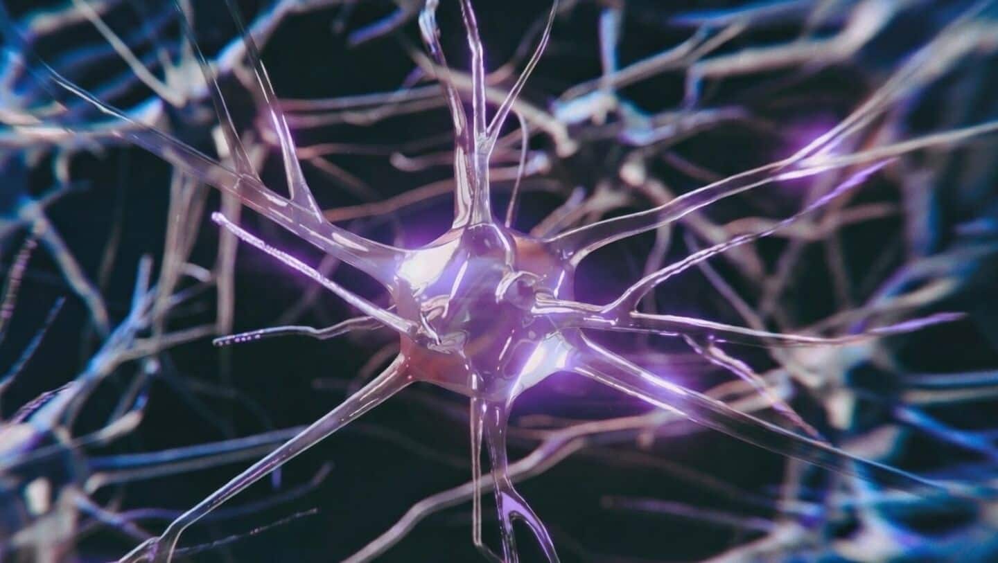 APOE4 disrupts memory neurons in young mice before symptoms