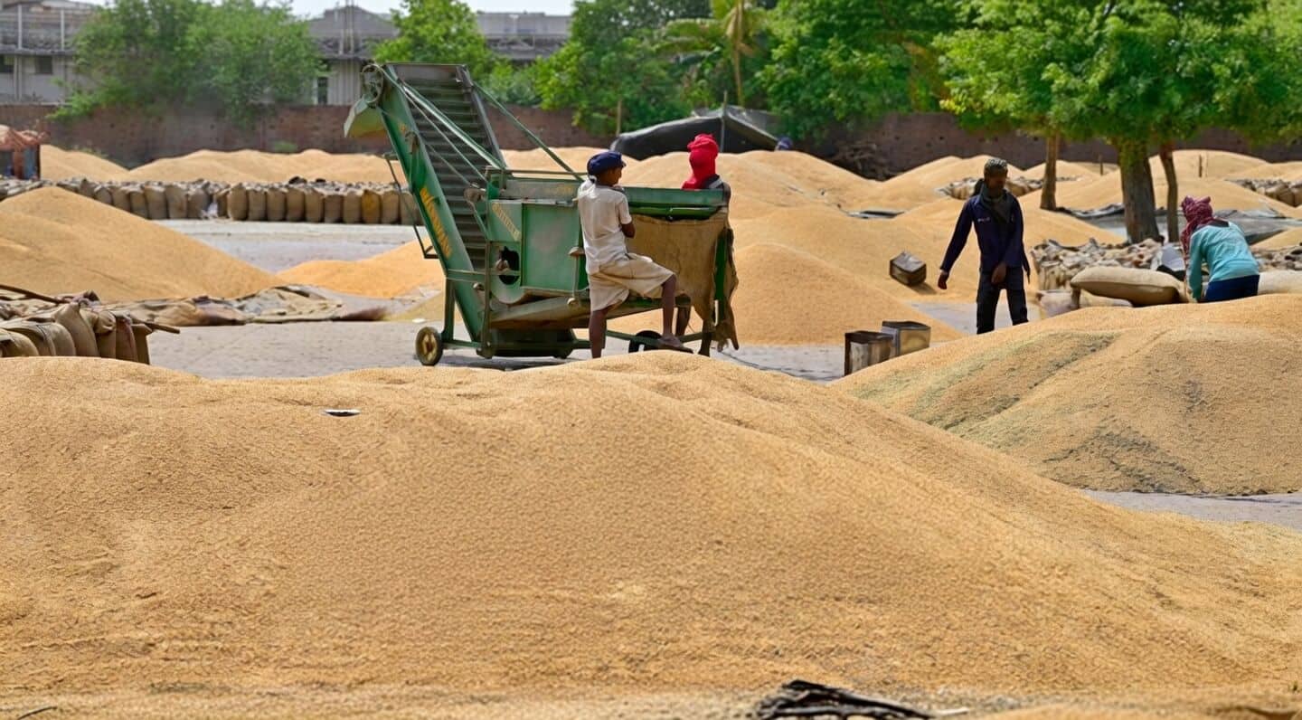 Punjab mandis have 7.15 million tons wheat, only 21% picked