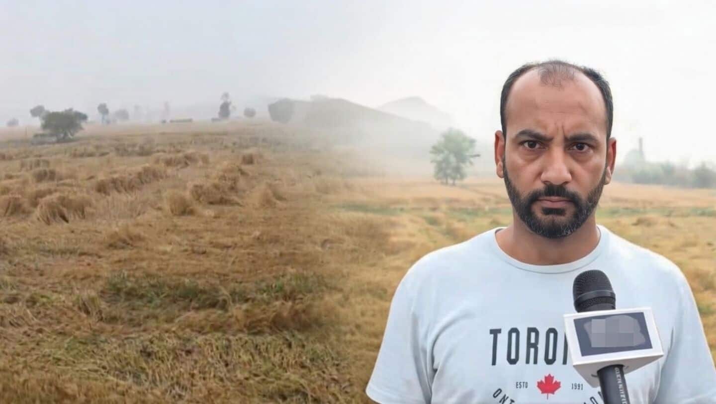 Unseasonal rain and hailstorms ruin rabi crops in Haryana, UP