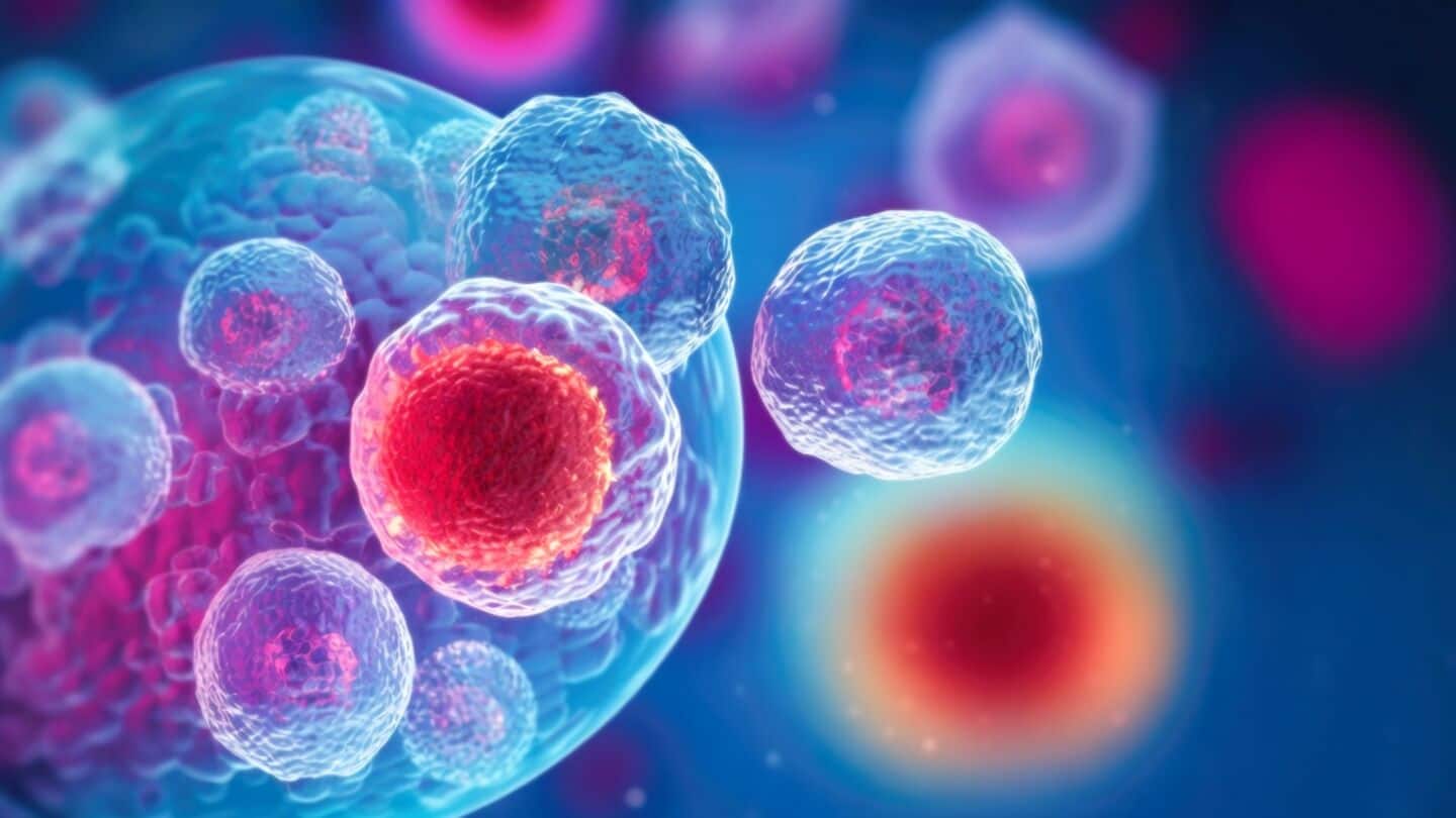 Cedars-Sinai scientists discover PD-L2 may help 'zombie cells' evade immunity