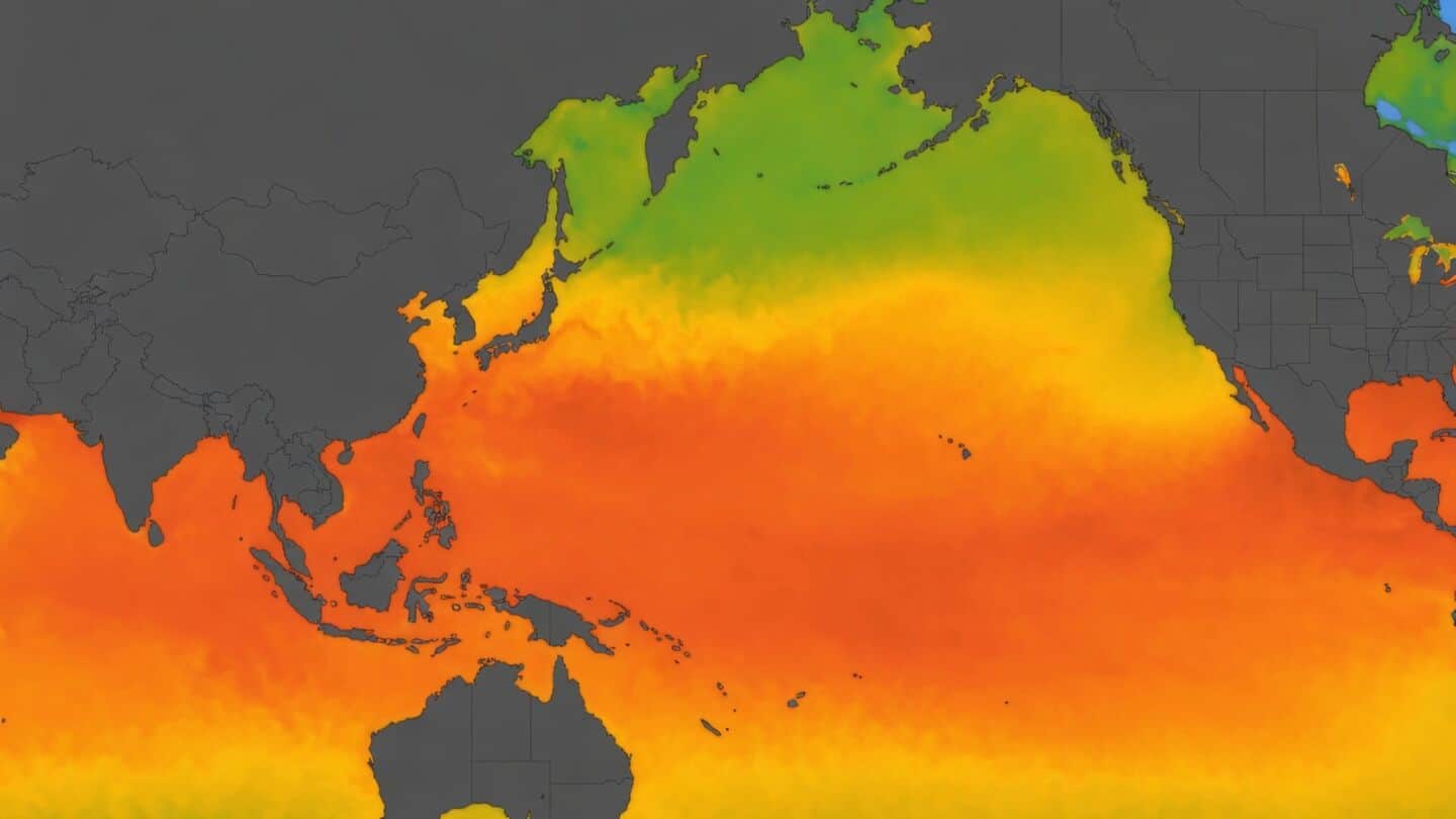 El Nino returns faster and could peak at 3.6°C RONI
