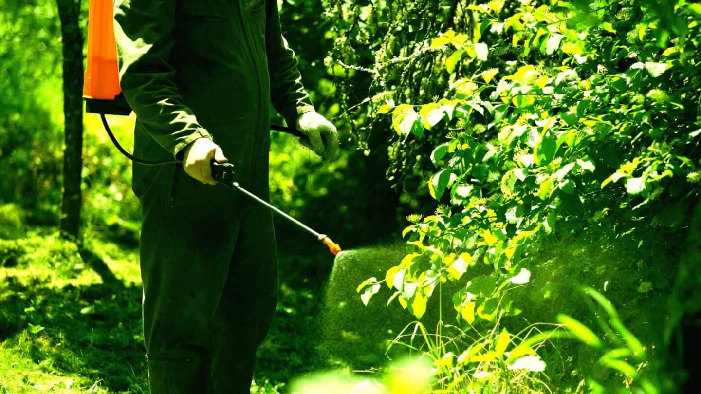 Chinese farmer loses 25 acres after following AI pesticide advice