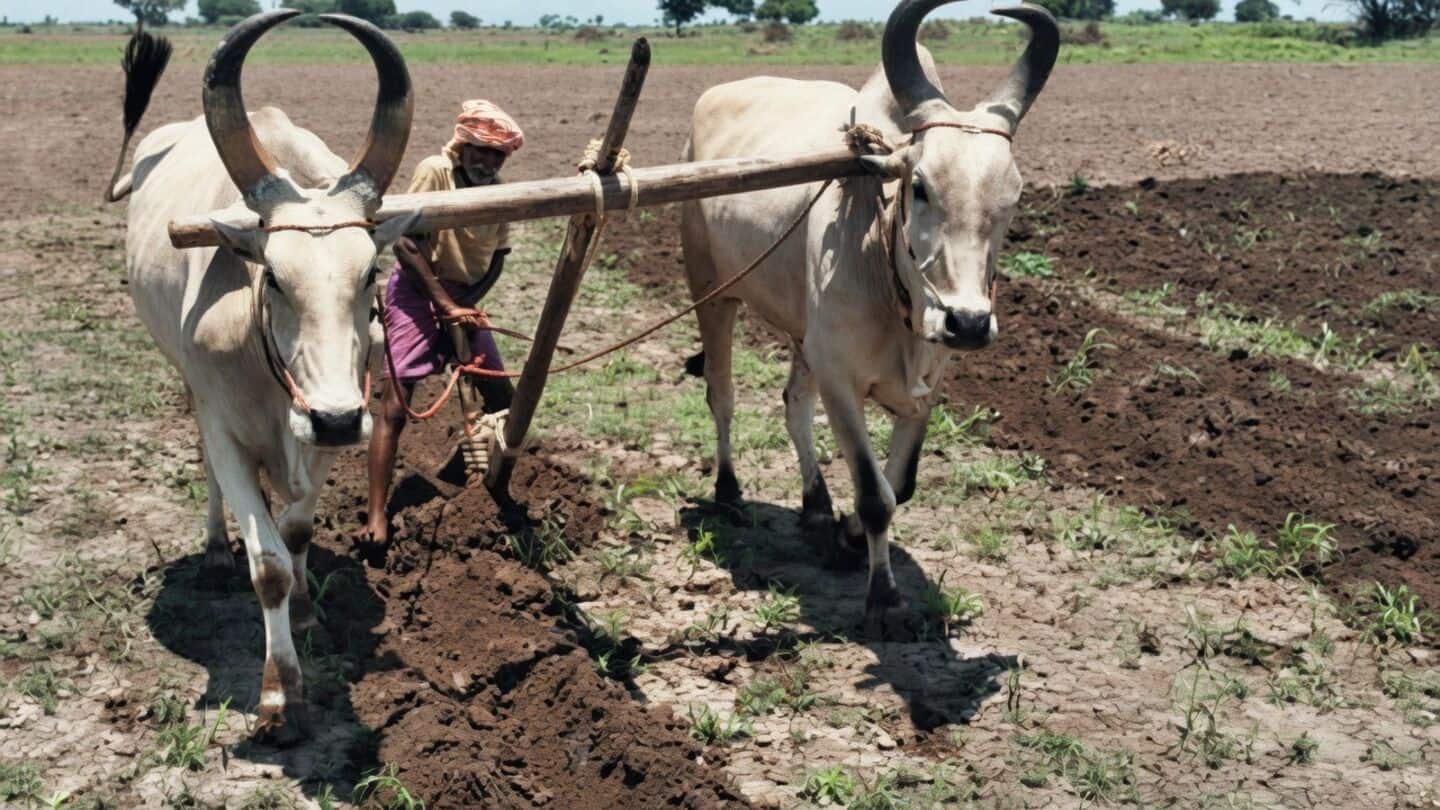 Climate change pressures Indian farmers as technology could streamline insurance