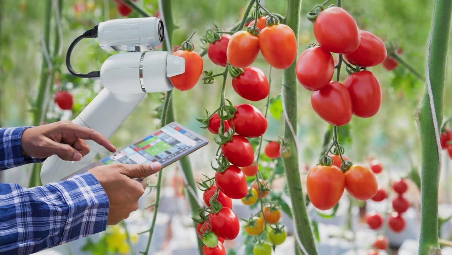 Report says India's farms ready for AI crop planning, trading