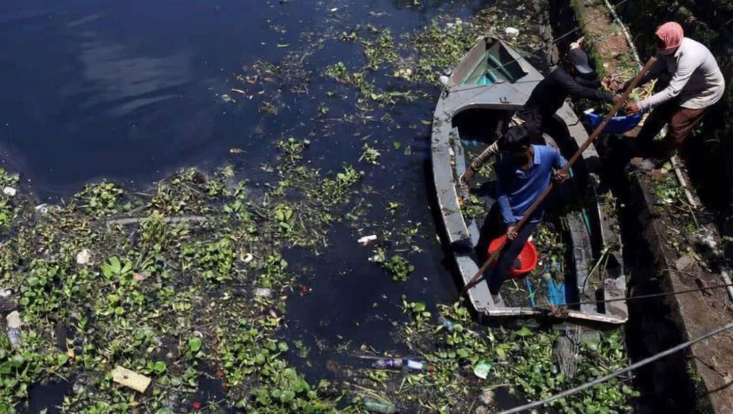 University of Missouri team modifies algae to capture microplastics
