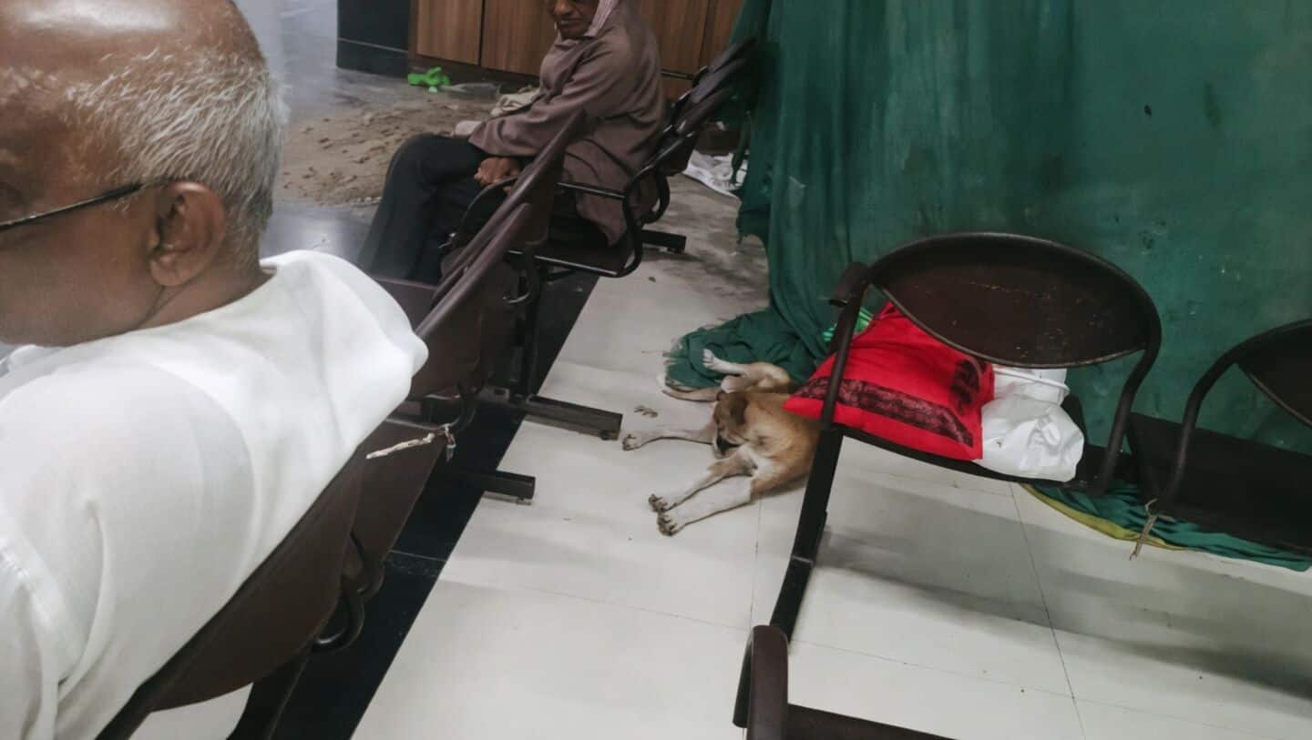 Viral video shows stray dogs in Surat's SMIMER maternity ward