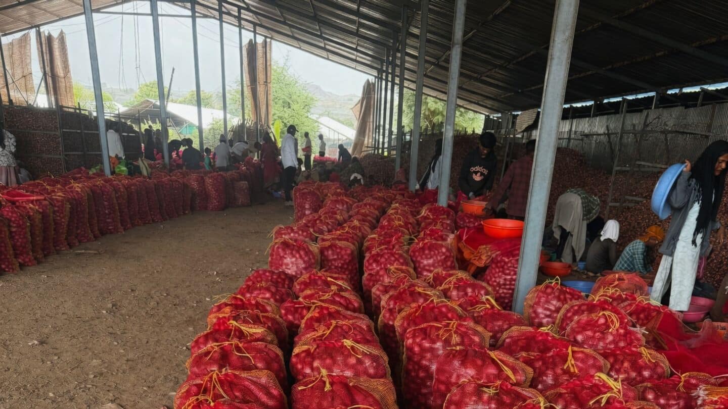 Government rolls out subsidized onions as prices hit ₹54.38