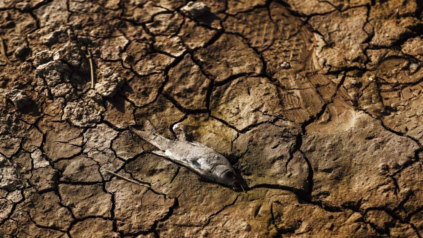 World Meteorological Organization finds groundwater below normal across northwestern India