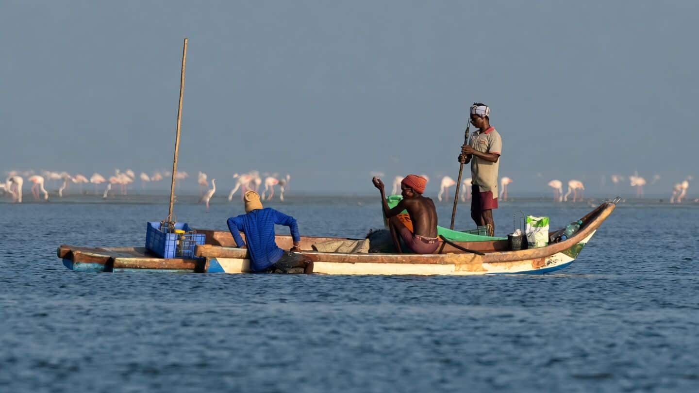 India joins WTO fisheries subsidies deal to curb illegal overfishing