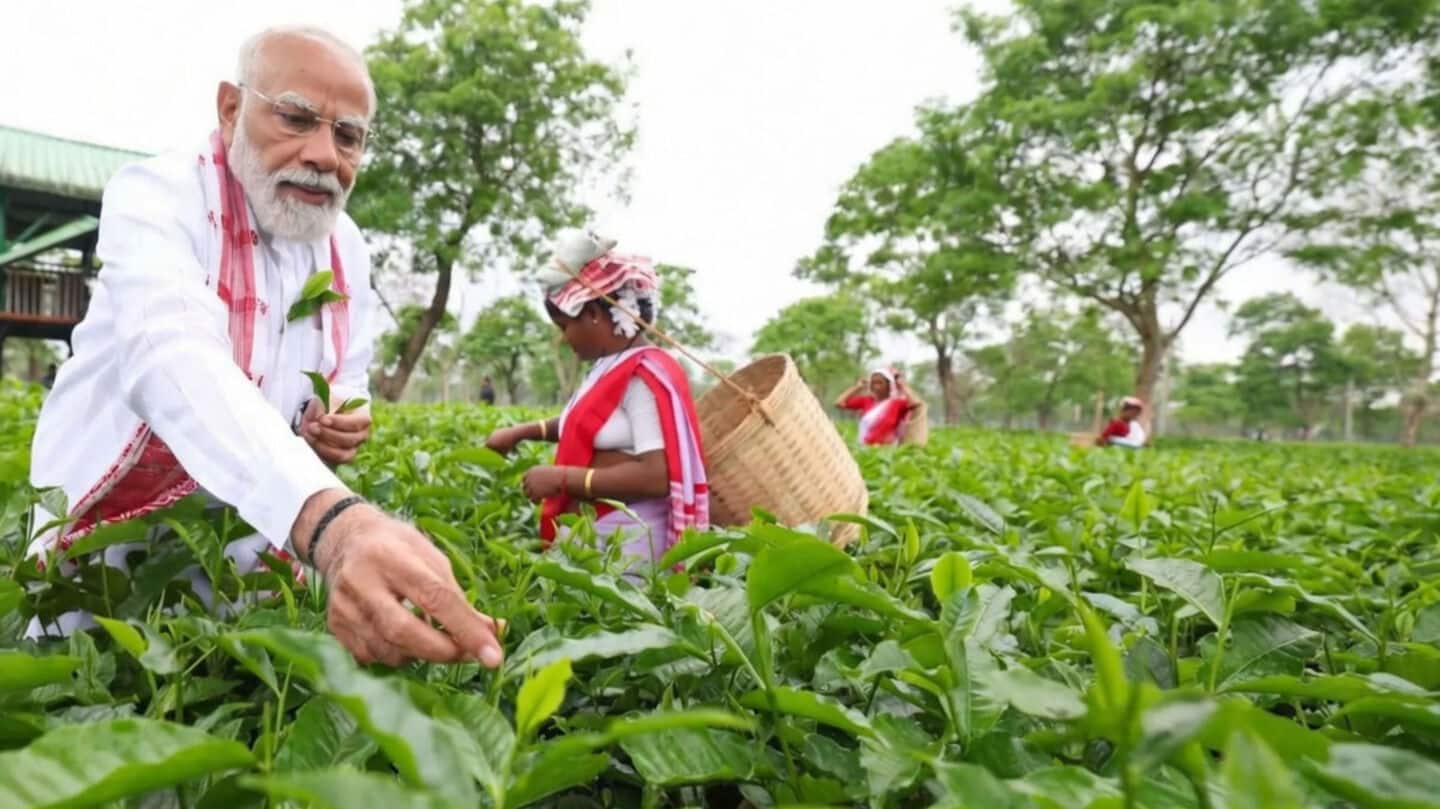 Narendra Modi stopped by Dibrugarh tea garden, praised workers' dedication
