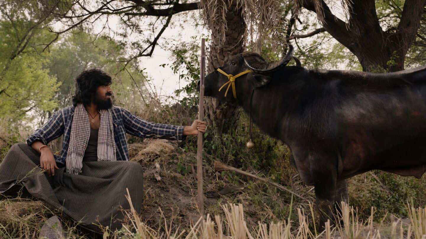 Teja's nephew Madhav debuts in 'Maremma' trailer about buffalo deaths
