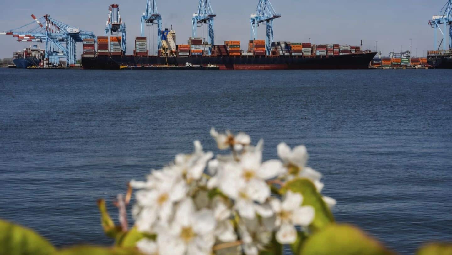 India approves 3 Russian marine insurers, bringing total to 11