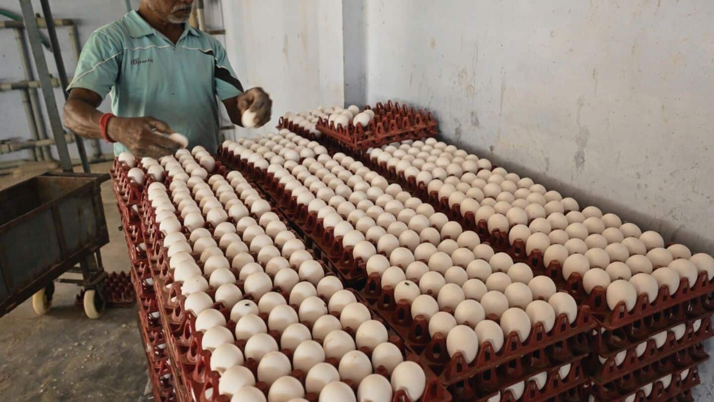 Namakkal egg prices fall to ₹6 amid religious demand slump