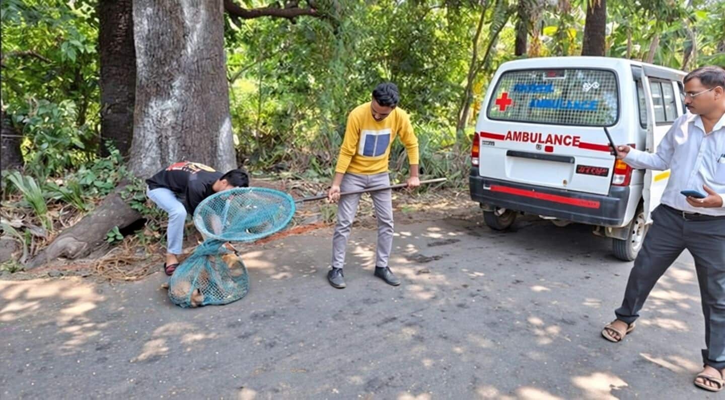 Naigaon dog bites at least 8 after Good Friday prayers