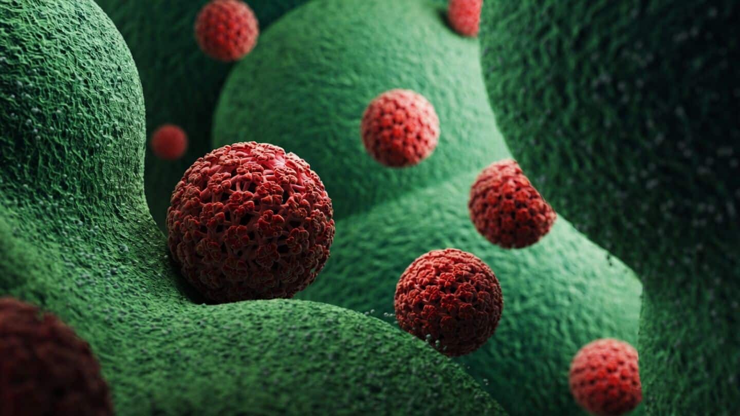 Study finds HPV vaccine reduces head and neck cancer risk
