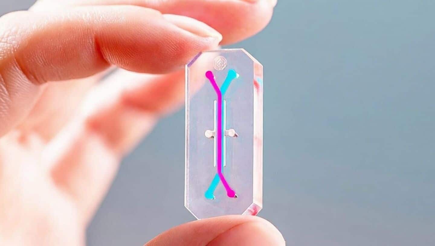 NASA Artemis II sending organ chips with bone marrow cells