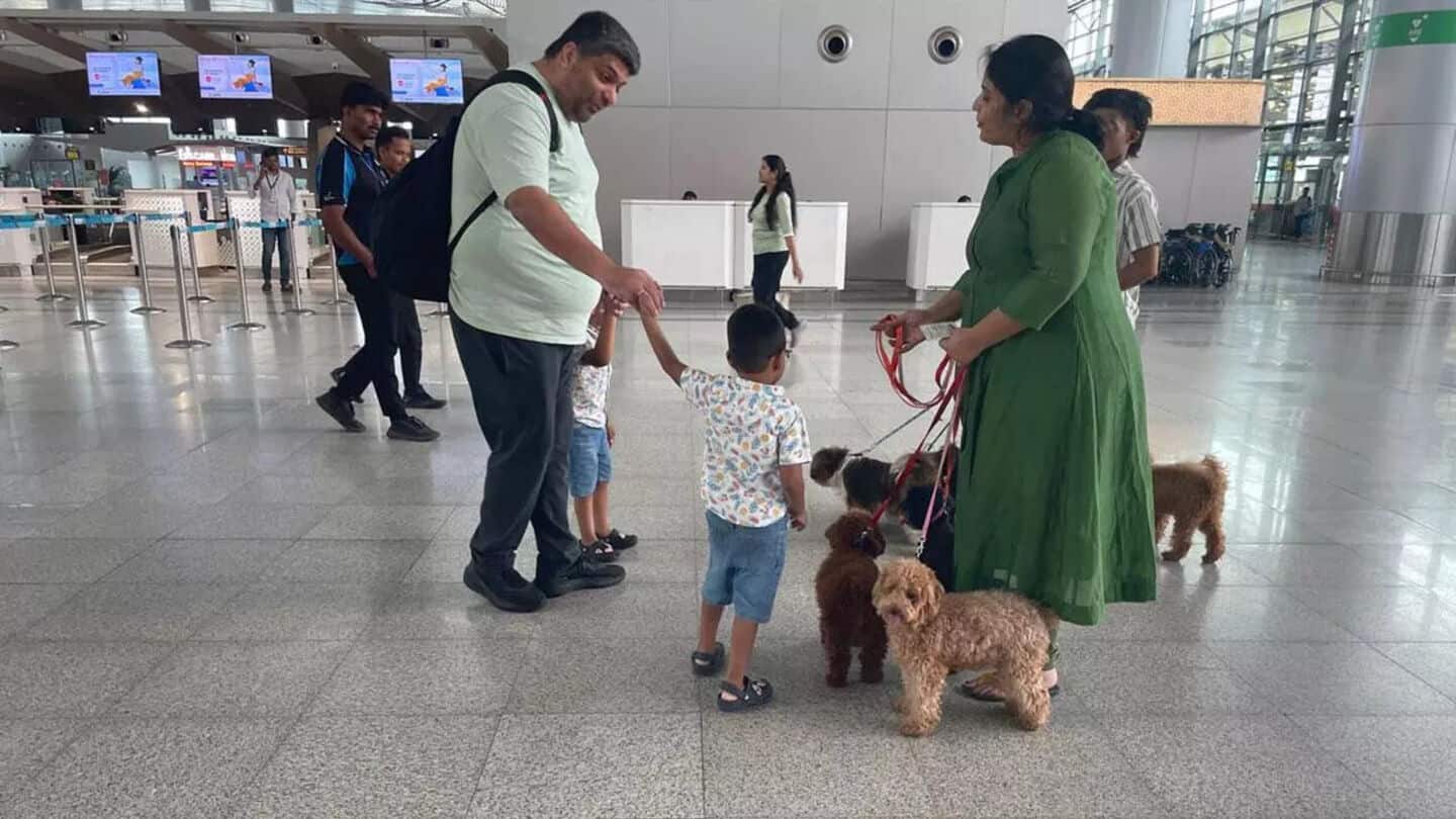 Poodles at Hyderabad airport help ease passenger anxiety