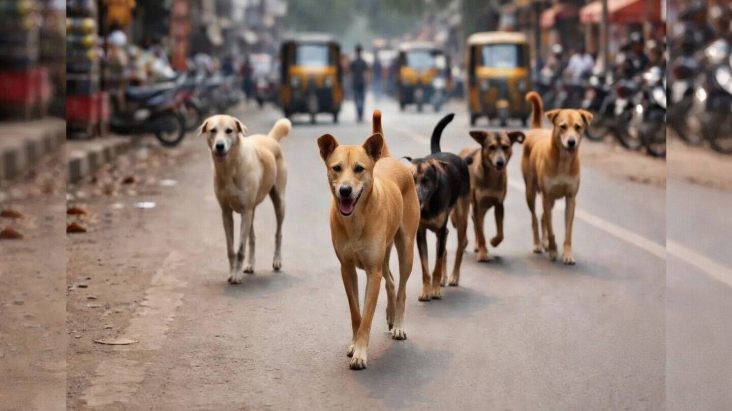 Telangana toddler Divya Behra killed by stray dogs in Peddapalli