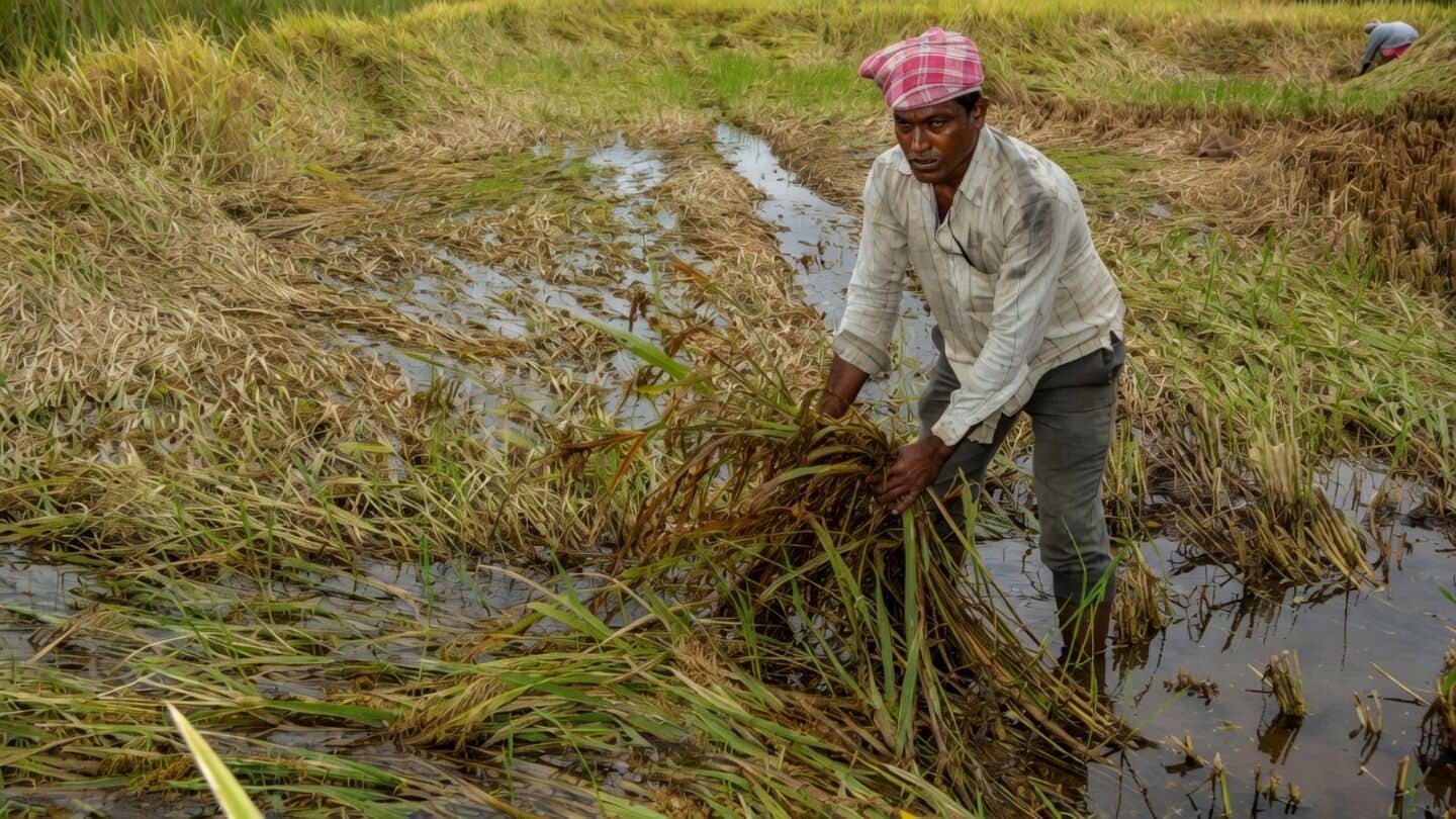 India's EBP program added over ₹1.6L/cr to farmers last decade