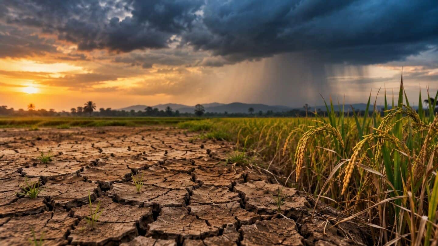 India's monsoon on course to be weakest in 17 years