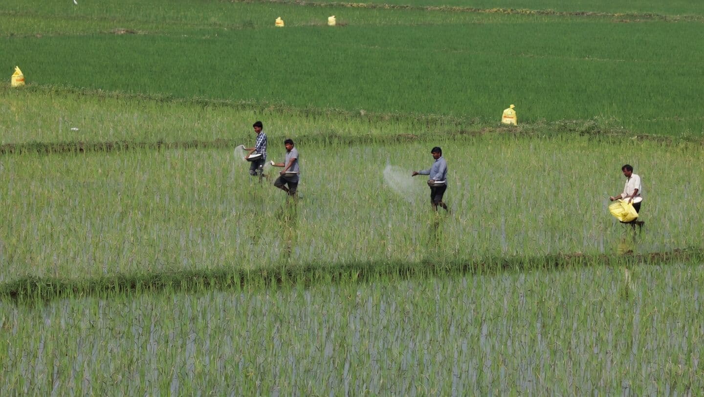India diversifies fertilizer imports, talks with Iran underway