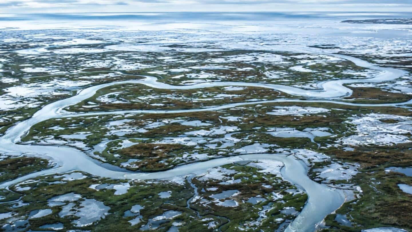 Study warns Arctic soils could release deep carbon by 2050s