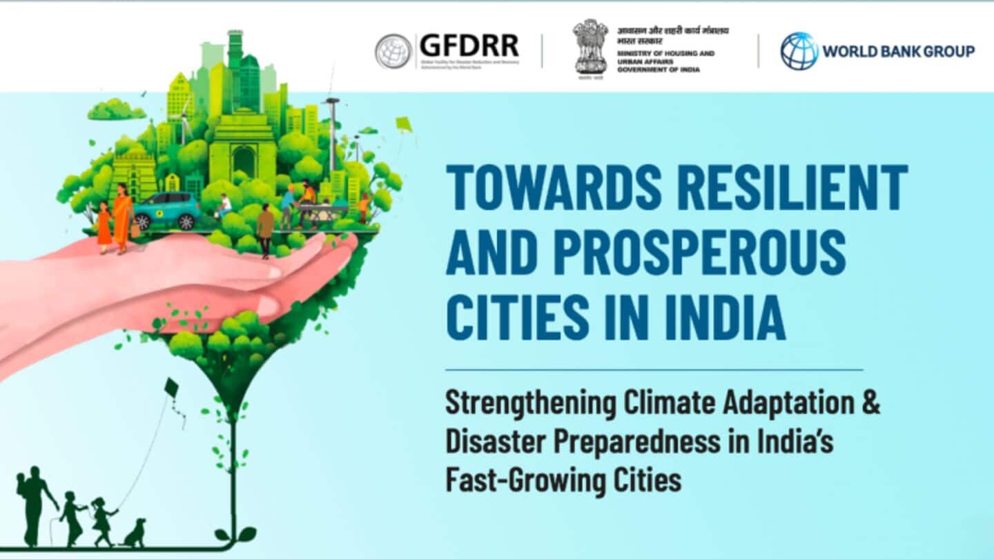 India, Namibia join hands for global environment at Zimbabwe meet