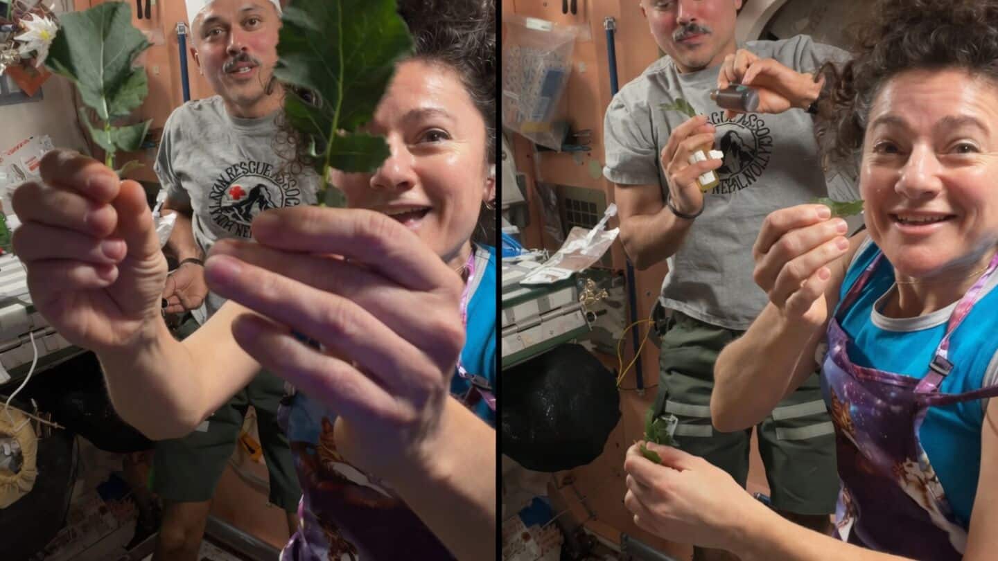 Anil Menon and Jessica Meir grow, harvest greens aboard ISS
