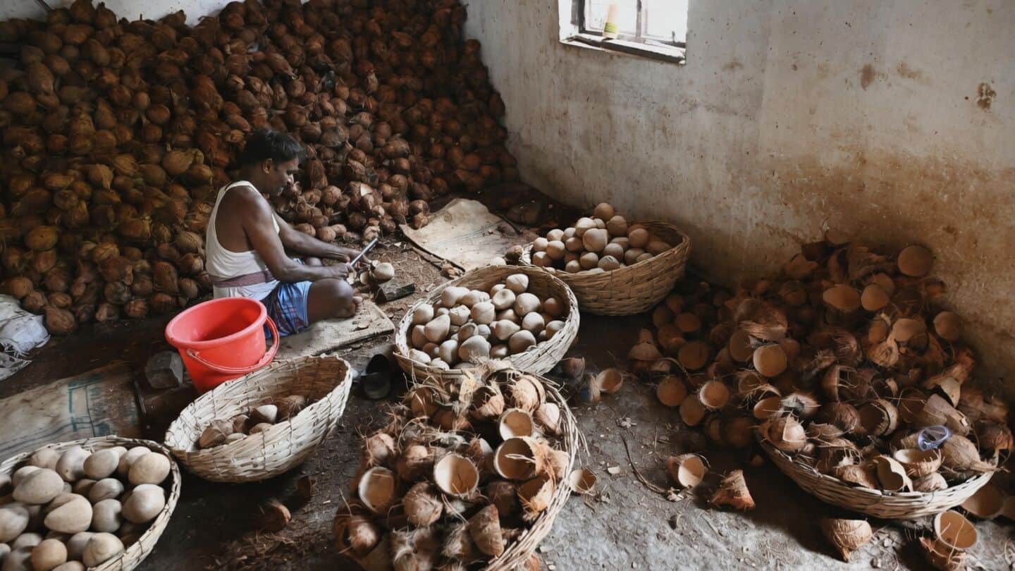 India's activated carbon industry hit by rising coconut shell prices