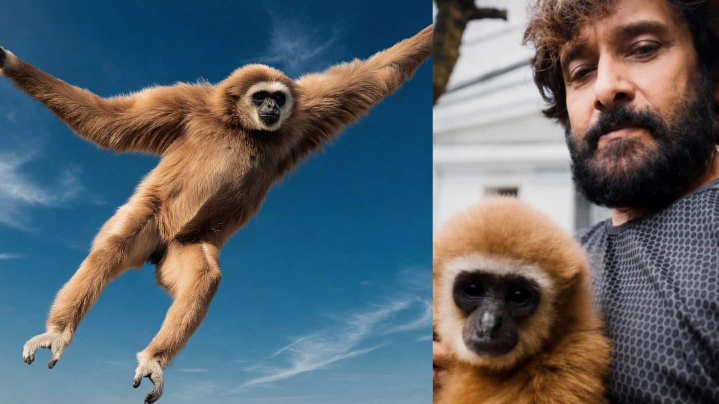 विक्रम के वायरल गिब्बन वीडियो पर हुआ हंगामा, लुप्तप्राय प्रजाति को लेकर वन विभाग की बड़ी जांच हुई शुरू