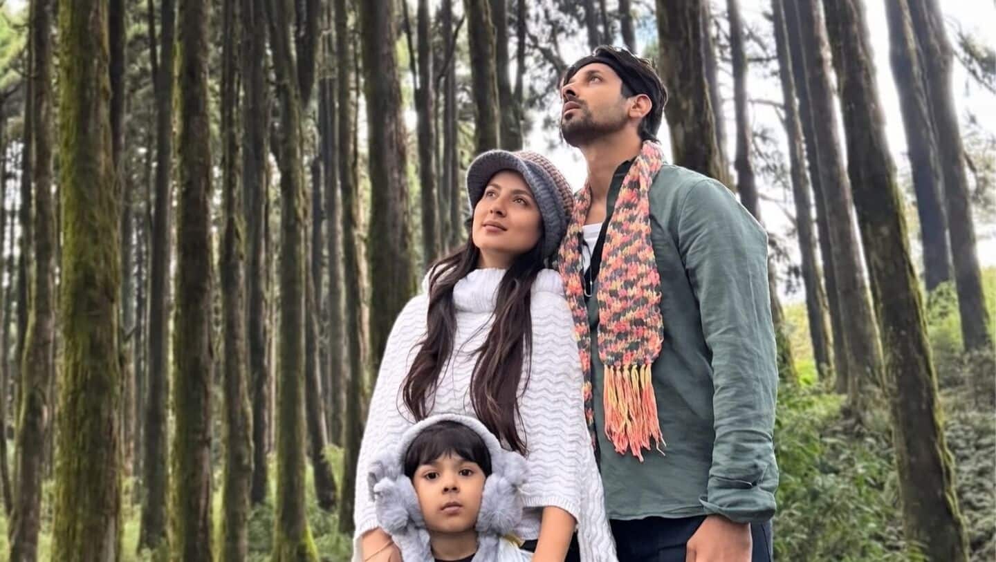 Banerjee and Verma announce 2nd pregnancy in YouTube video