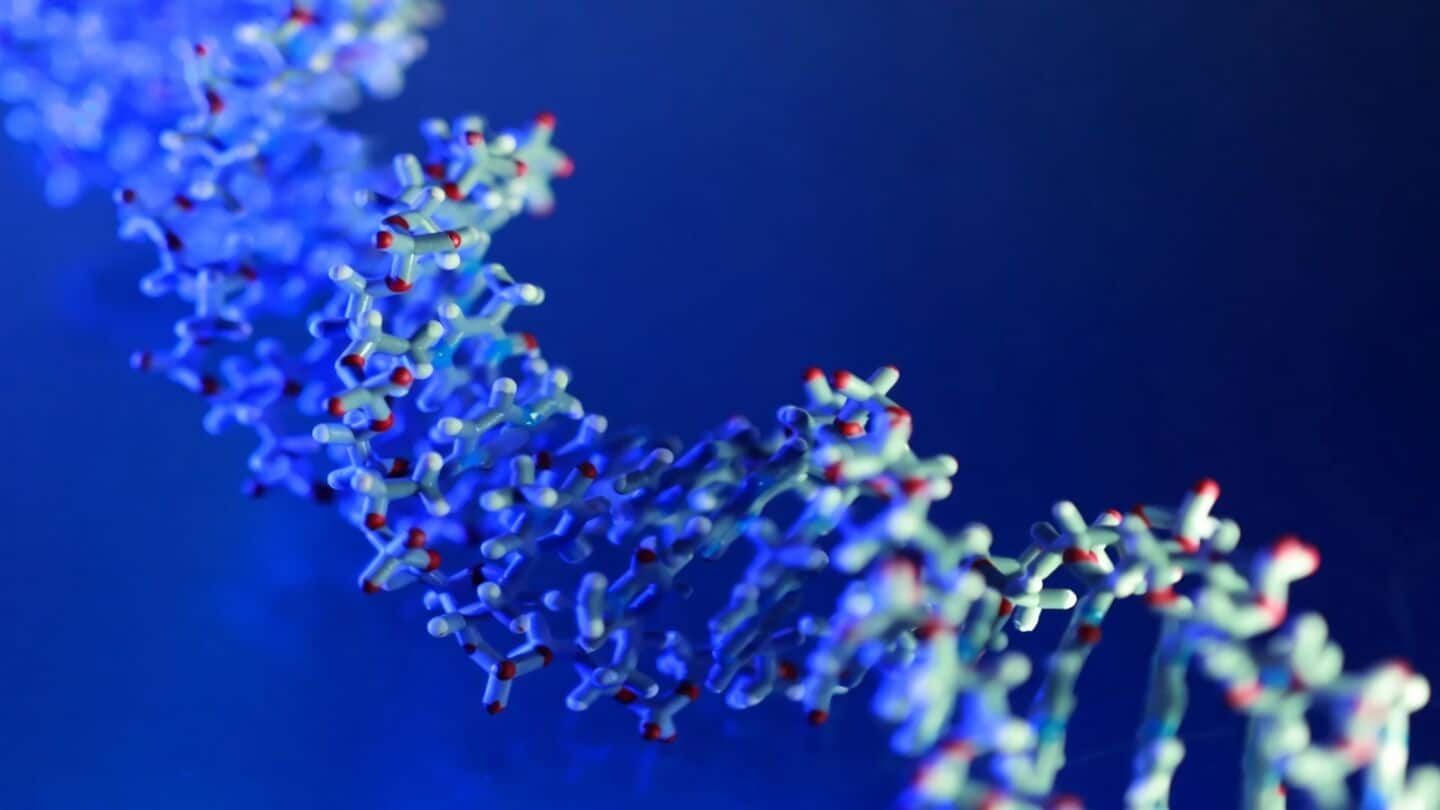 Researchers create CRISPR-Cas12a2 to target RNA in diseased human cells