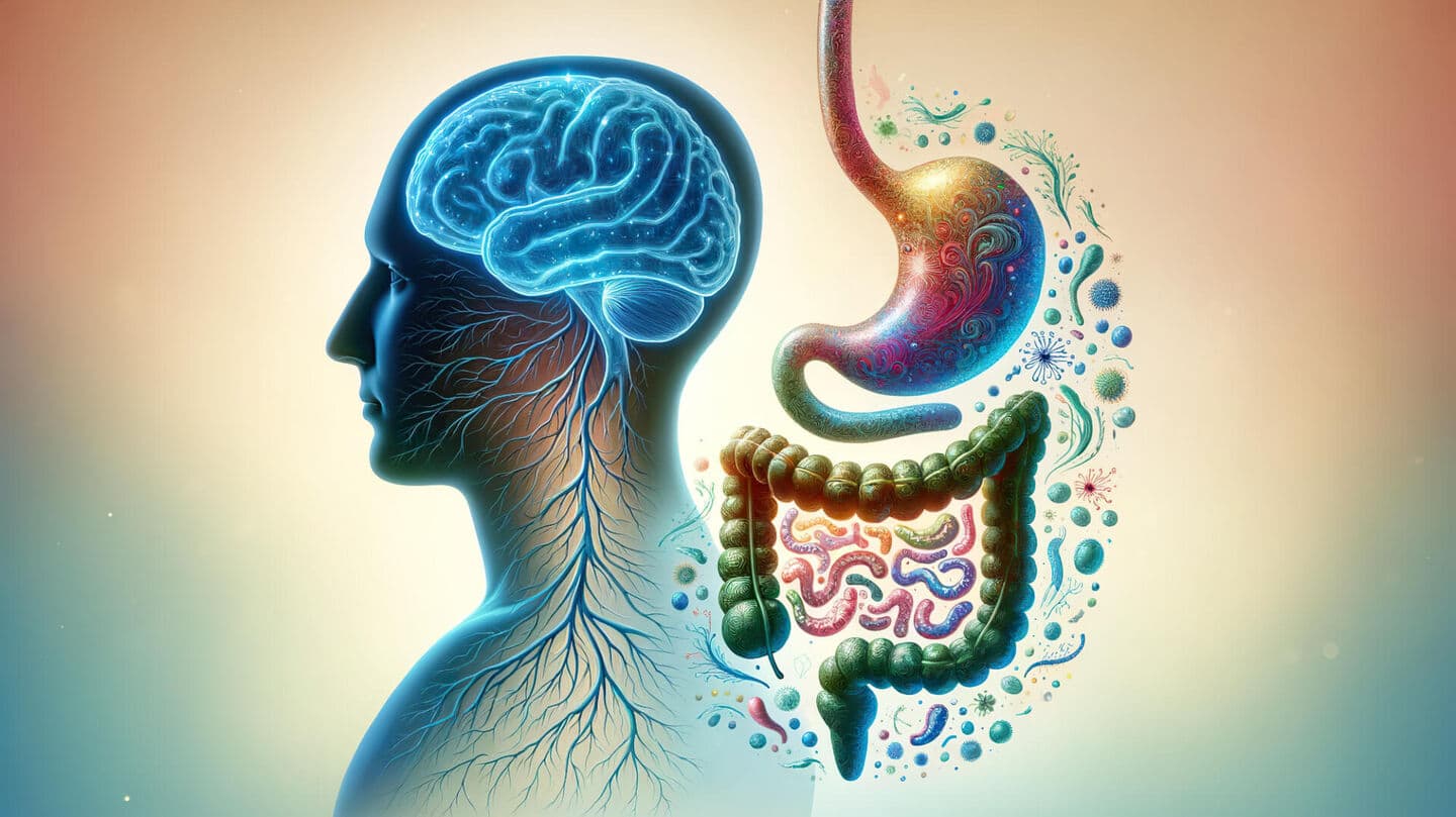 Gut bacteria imbalance may lead to memory issues, says new study