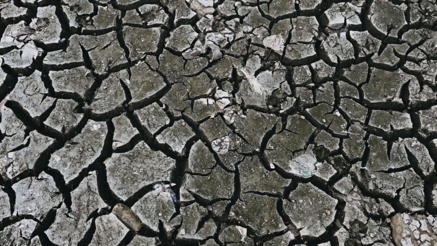 Central government constitutes team to assess Maharashtra drought affecting 80%