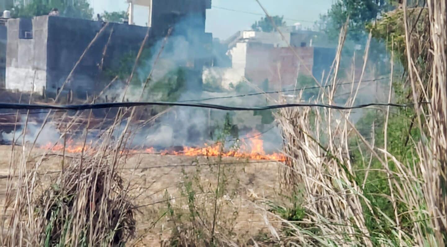 Punjab's farm fires surge to over 9,000 by May 15