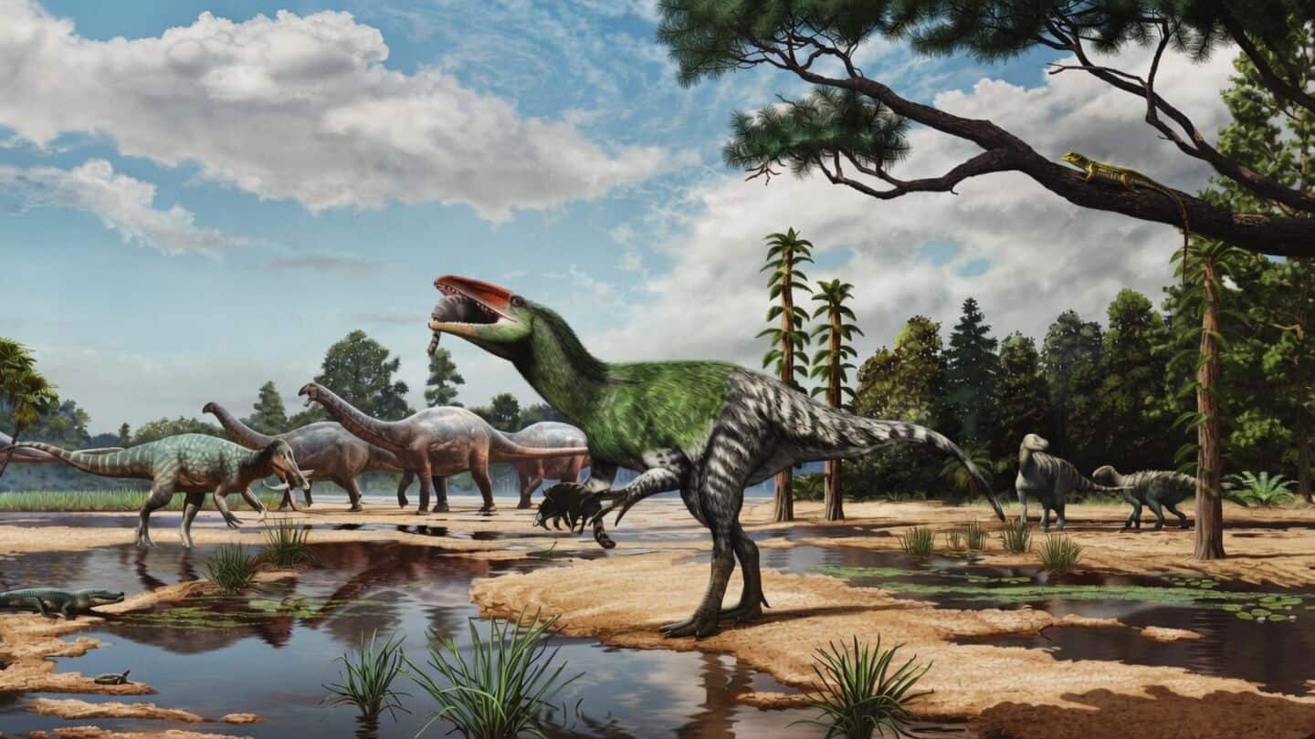Scientists identify Invictibellatrix amberina as distant T. rex cousin