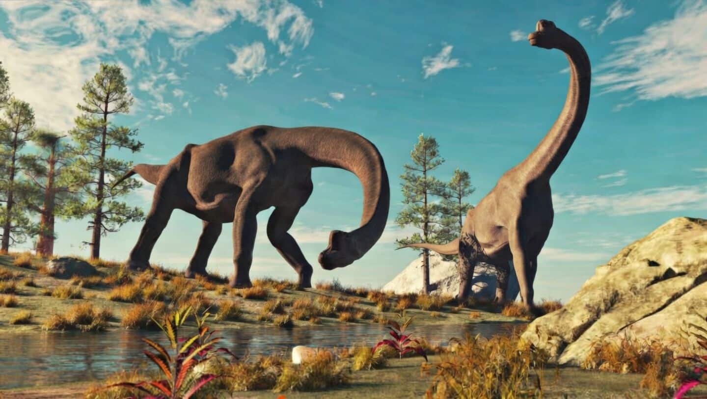 New Patagonia sauropod Bicharracosaurus dionidei could reshape sauropod evolution