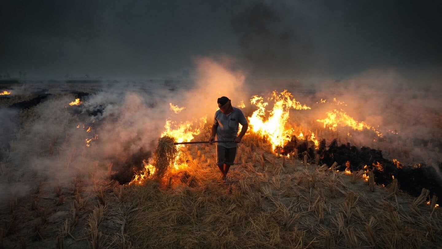 Haryana cuts stubble burning 91% since 2021, tightens pollution plan