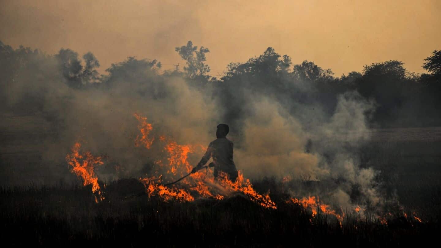 Punjab records season's worst day as 51 stubble fires