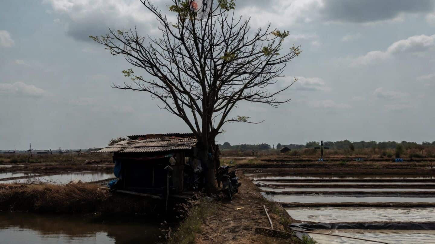 WMO warns current El Nino could be strongest ever