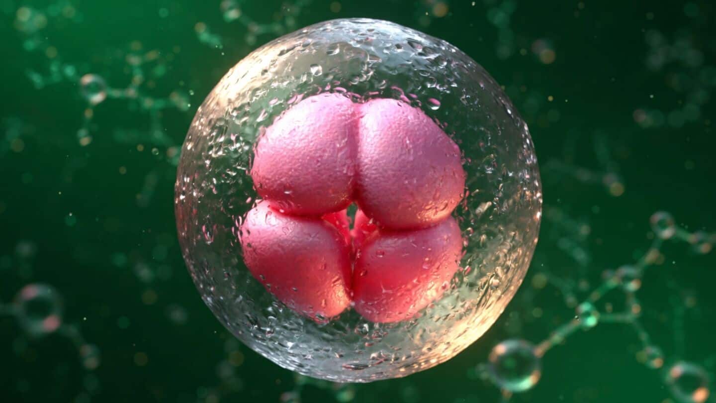 Cambridge team finds NANOG required for embryo stem cell formation