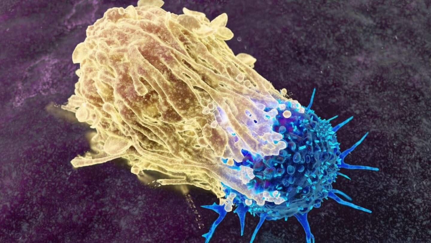 New antibody cancer treatment shrinks tumors in 50% of patients