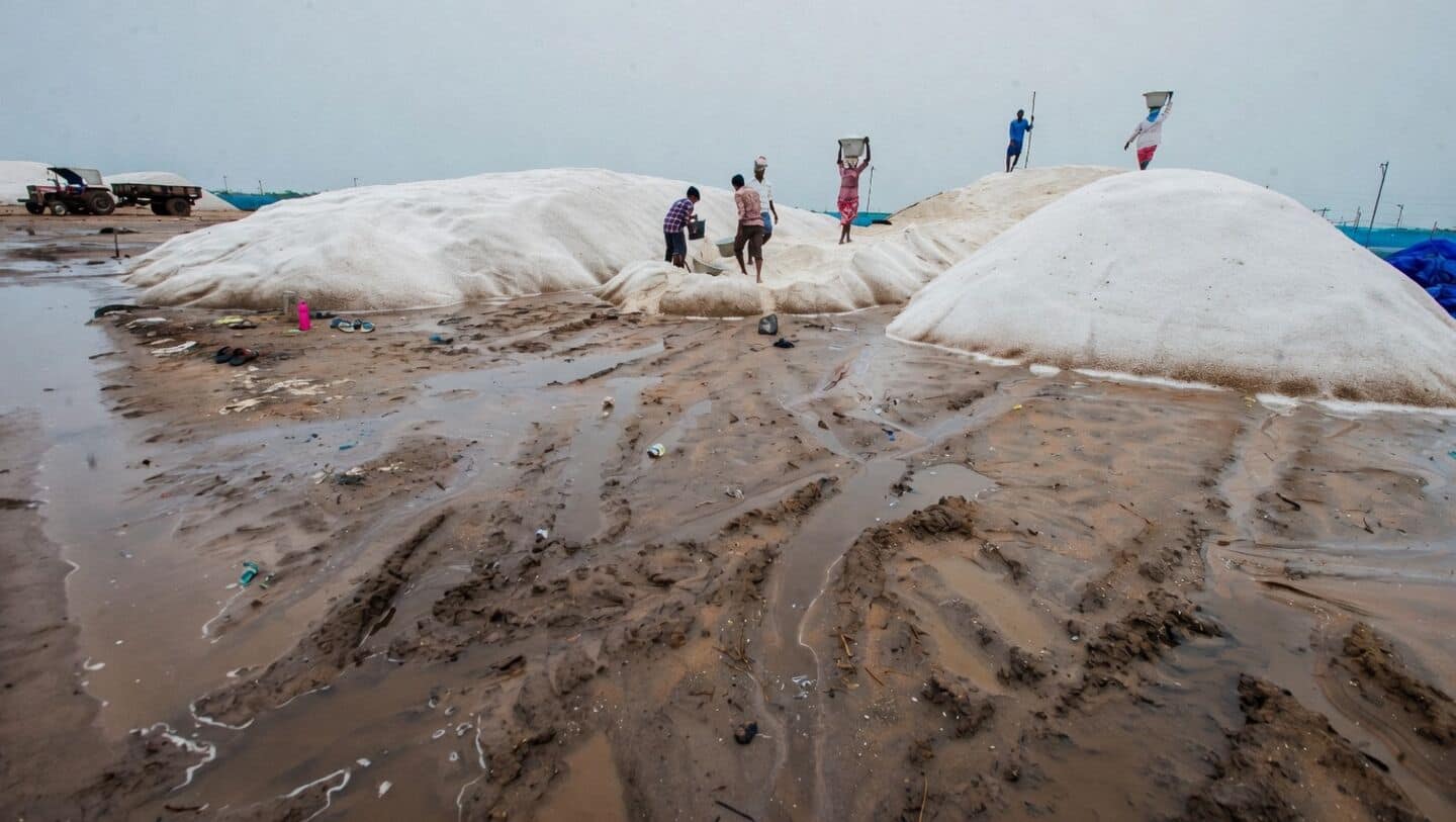 Andhra Pradesh sees brief relief as temperatures fall below 44C